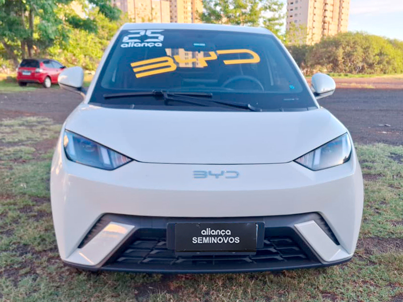 DOLPHIN MINI 38 KW ELÉTRICO1