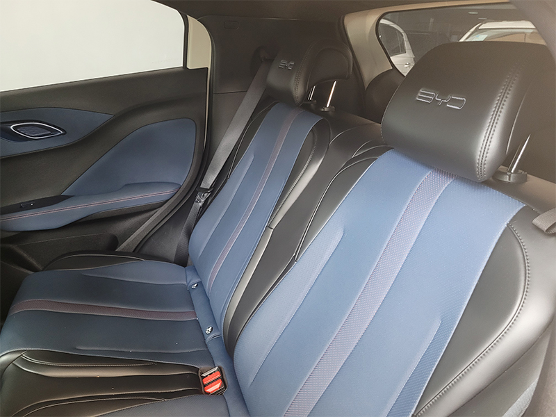 DOLPHIN MINI 38 KW ELÉTRICO9