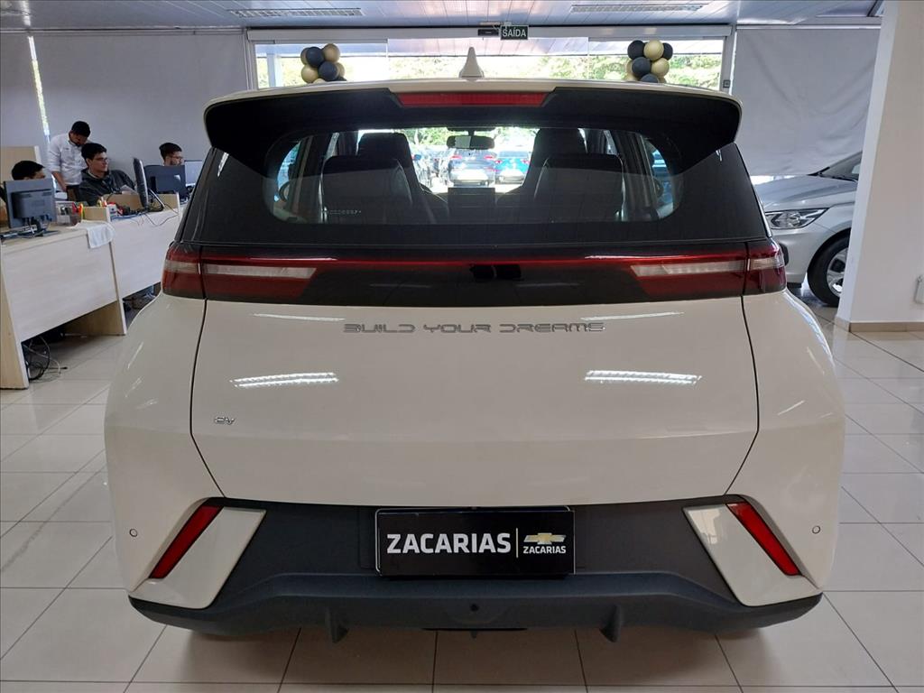 DOLPHIN MINI 38 KW ELÉTRICO3