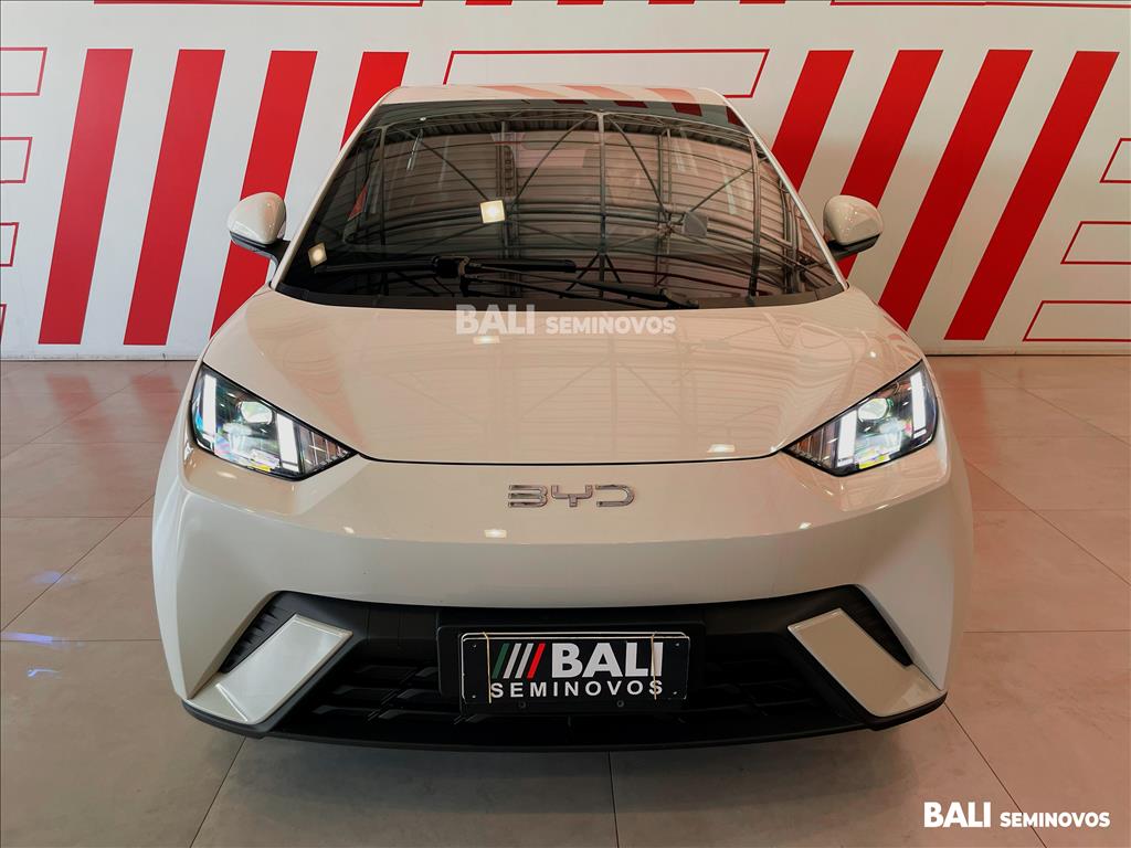 DOLPHIN MINI 38 KW ELÉTRICO2