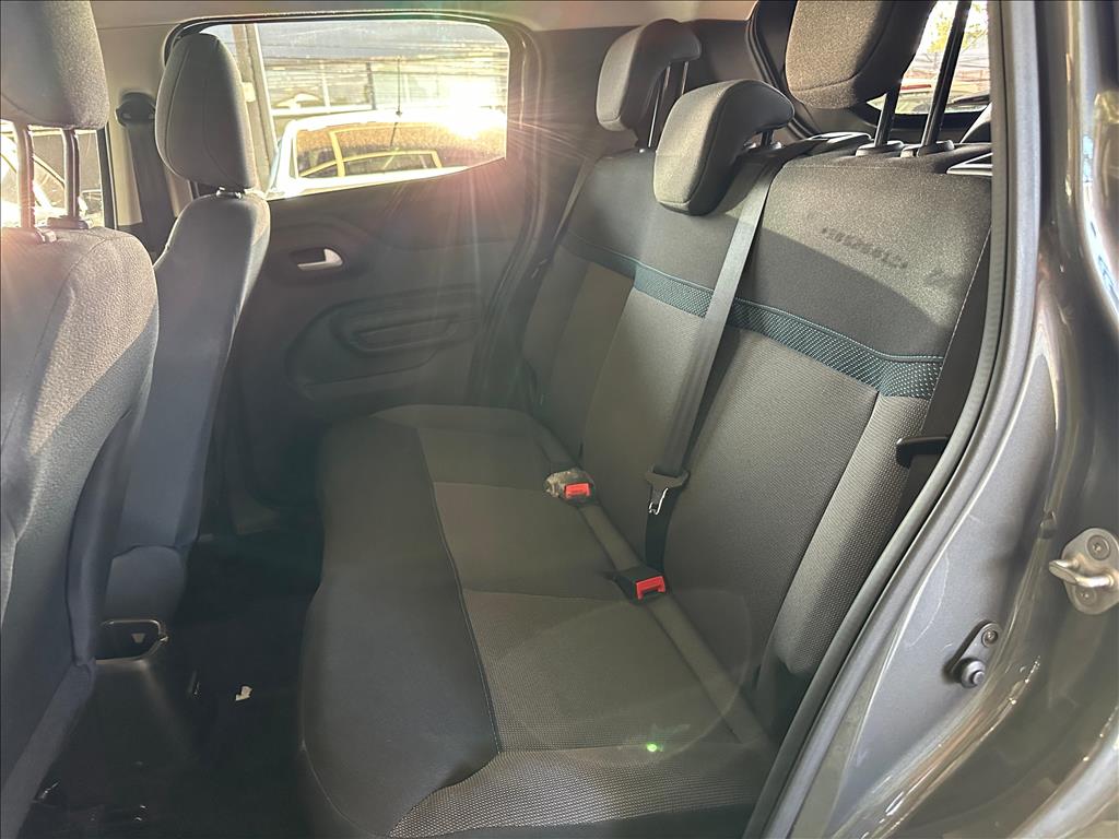 C3 1.0 FIREFLY FLEX FEEL MANUAL8