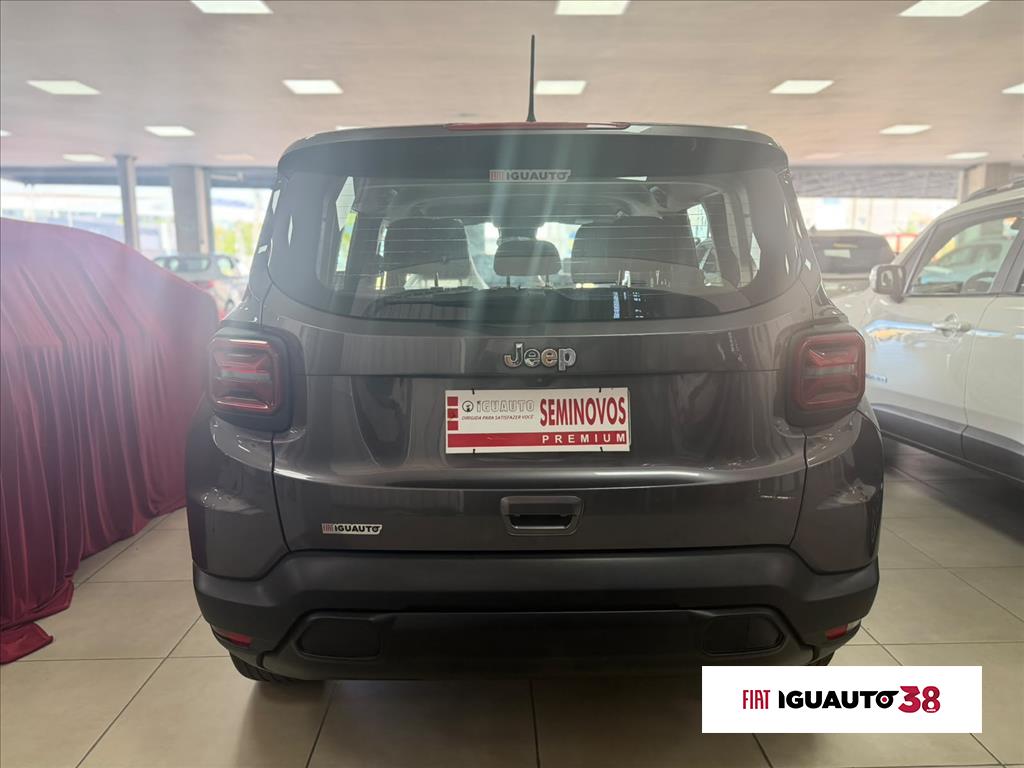RENEGADE 1.3 T270 TURBO FLEX AT63
