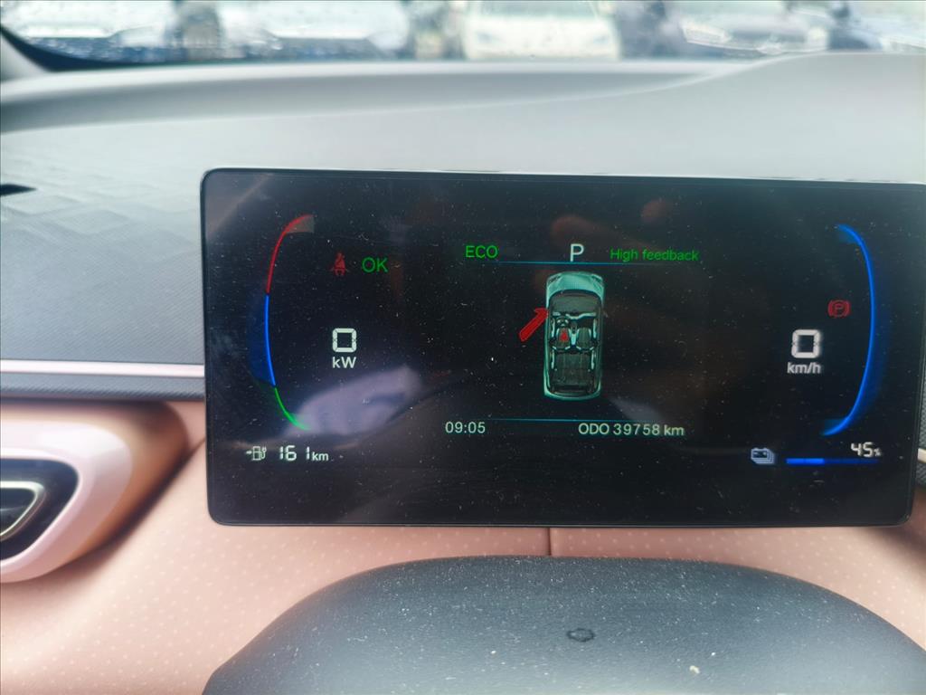 DOLPHIN MINI 38 KW ELÉTRICO 5L15