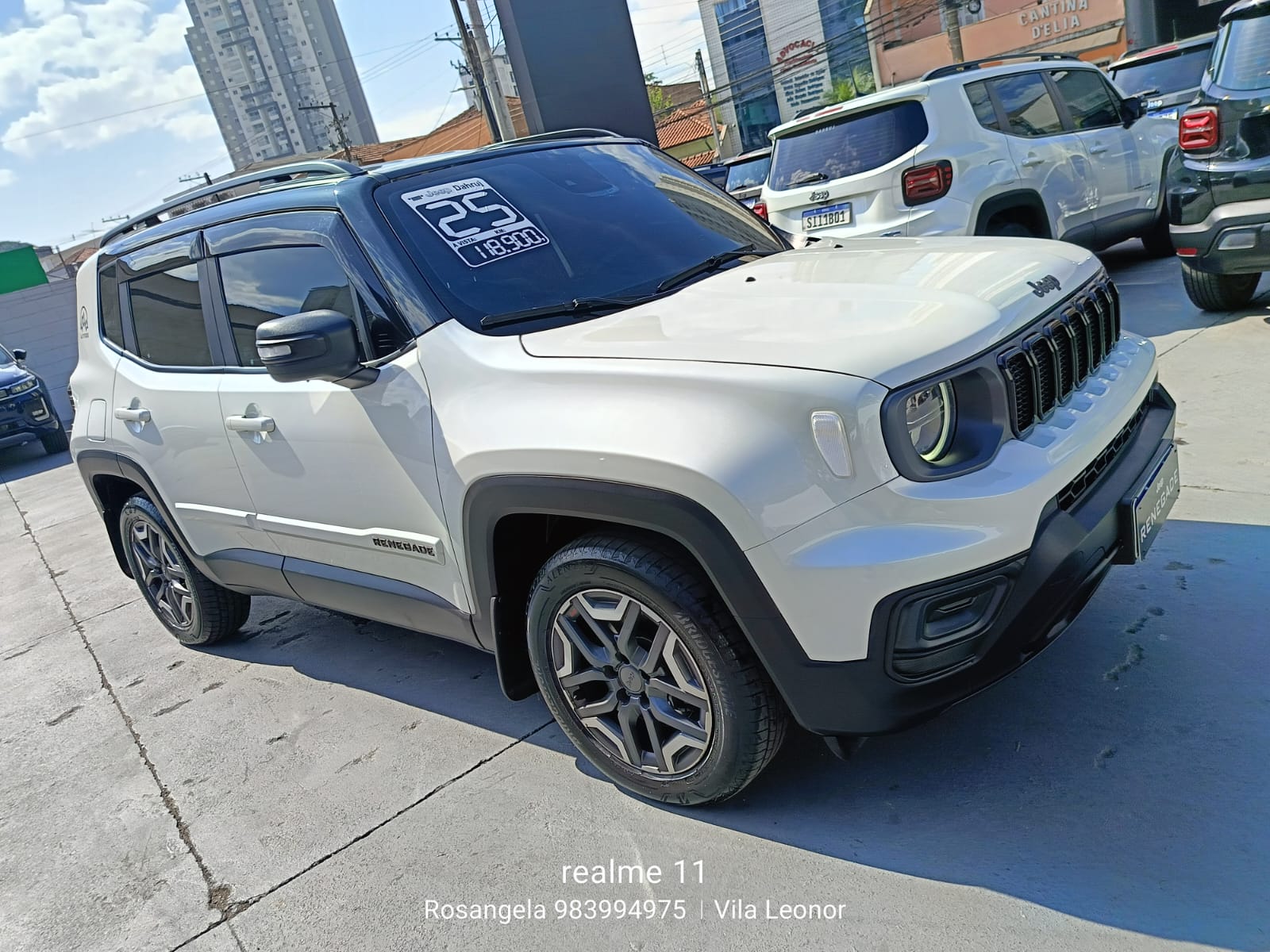 RENEGADE 1.3 T270 TURBO FLEX ALTITUDE AT611