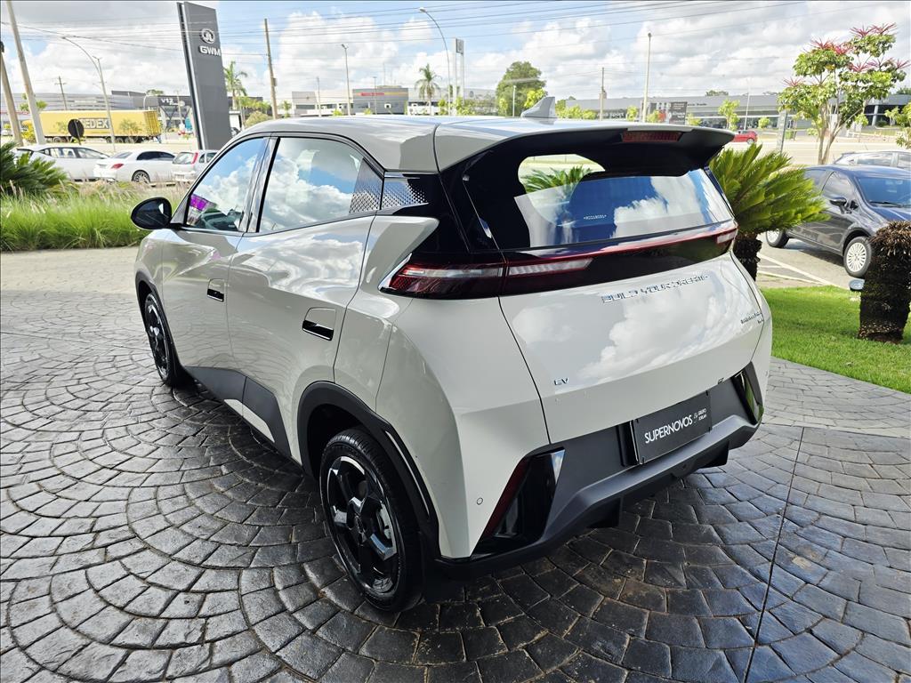 DOLPHIN MINI 38 KW ELÉTRICO5