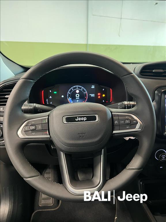 RENEGADE 1.3 T270 TURBO FLEX LONGITUDE AT610