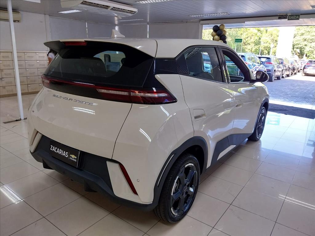 DOLPHIN MINI 38 KW ELÉTRICO4