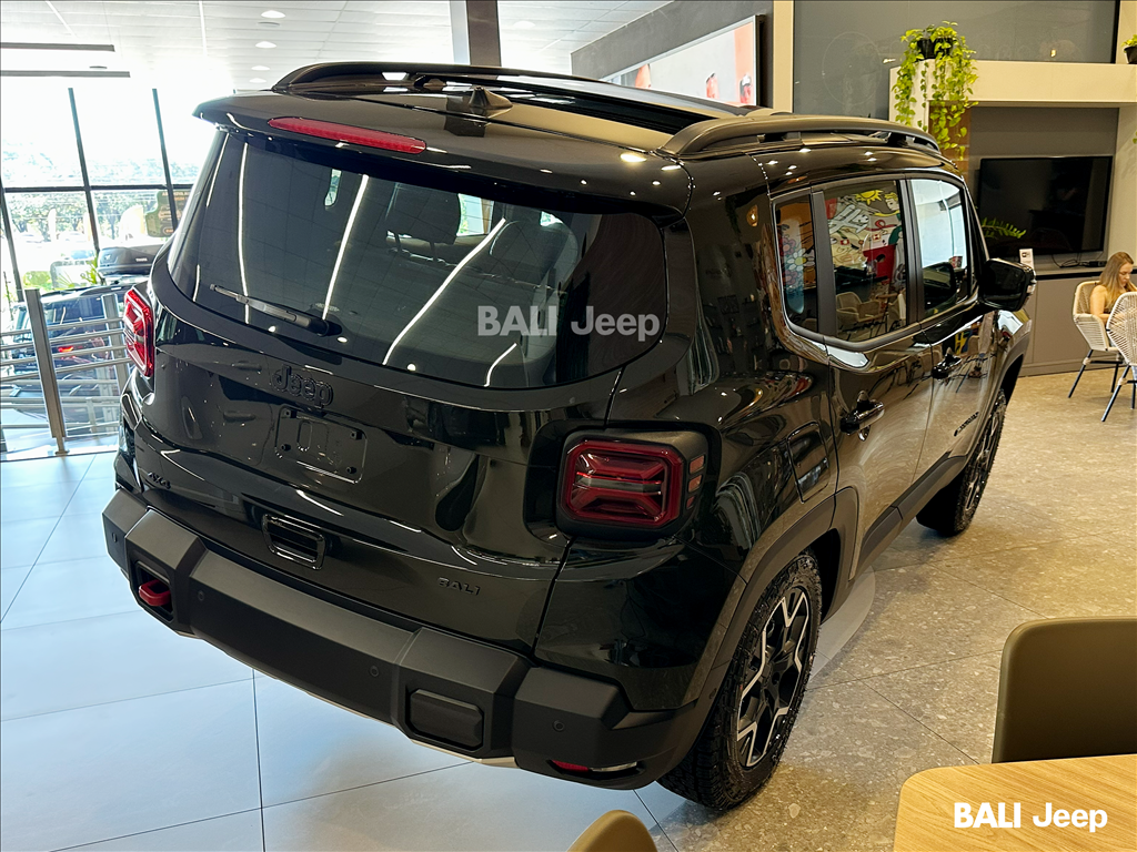 RENEGADE 1.3 T270 TURBO FLEX WILLYS 4X4 AT93