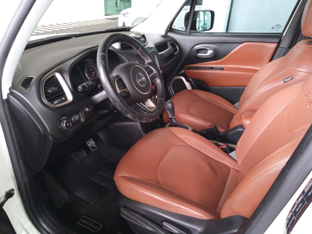 RENEGADE 1.8 16V FLEX 4P MANUAL8
