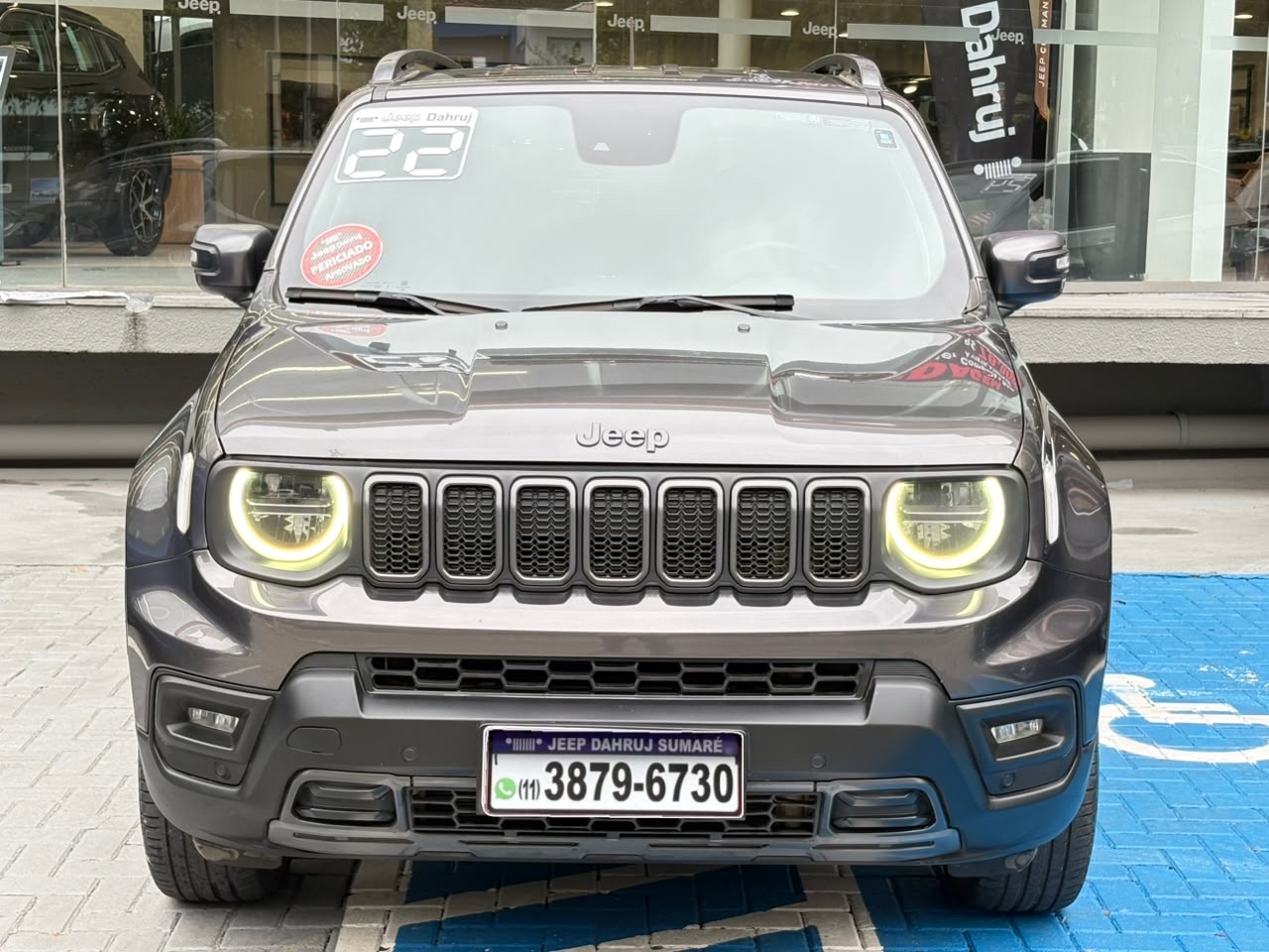 RENEGADE 1.3 T270 TURBO FLEX S 4X4 AT95