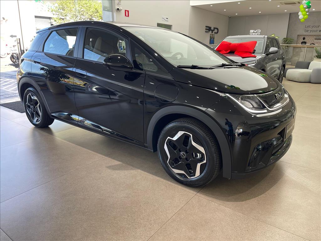 DOLPHIN 44,9 KW ELÉTRICO GS