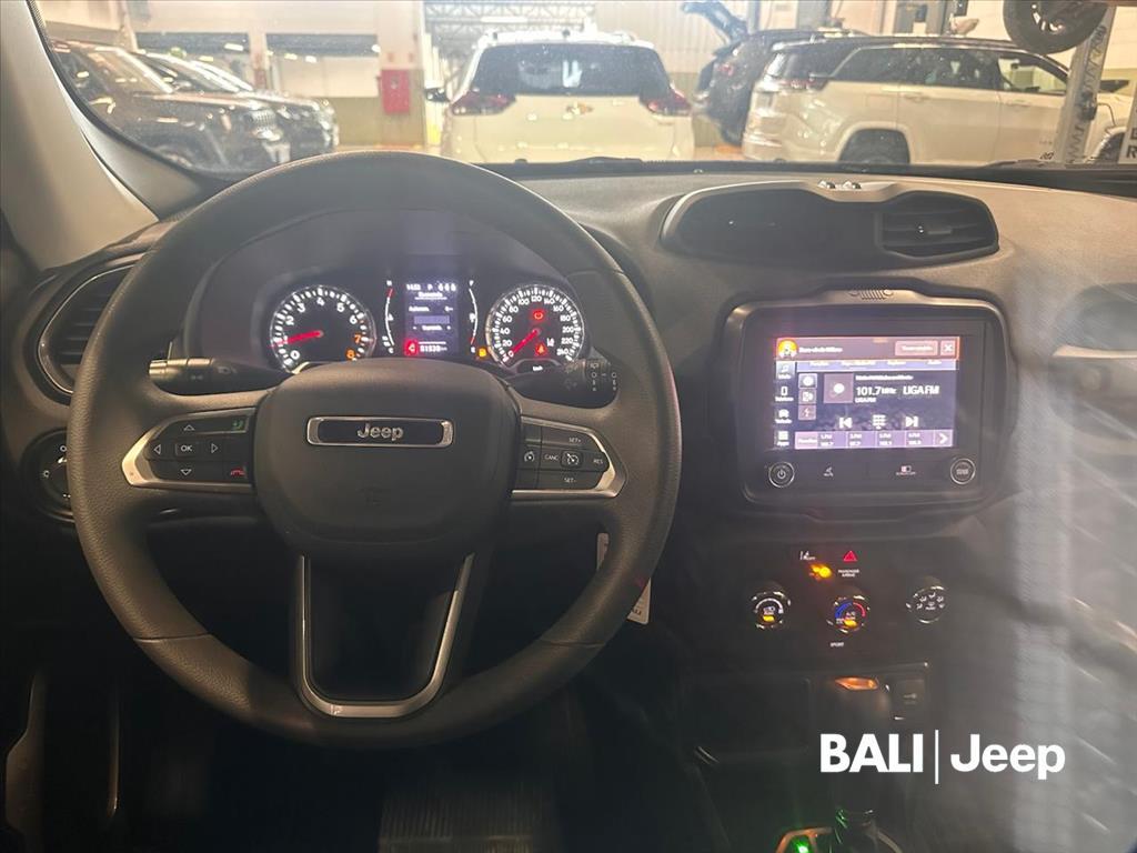 RENEGADE 1.3 T270 TURBO FLEX AT610