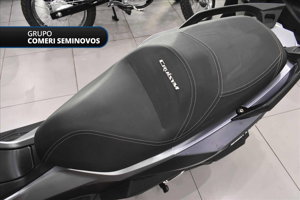 CRUISYM 300