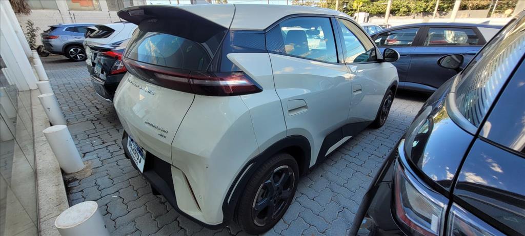 DOLPHIN MINI 38 KW ELÉTRICO10
