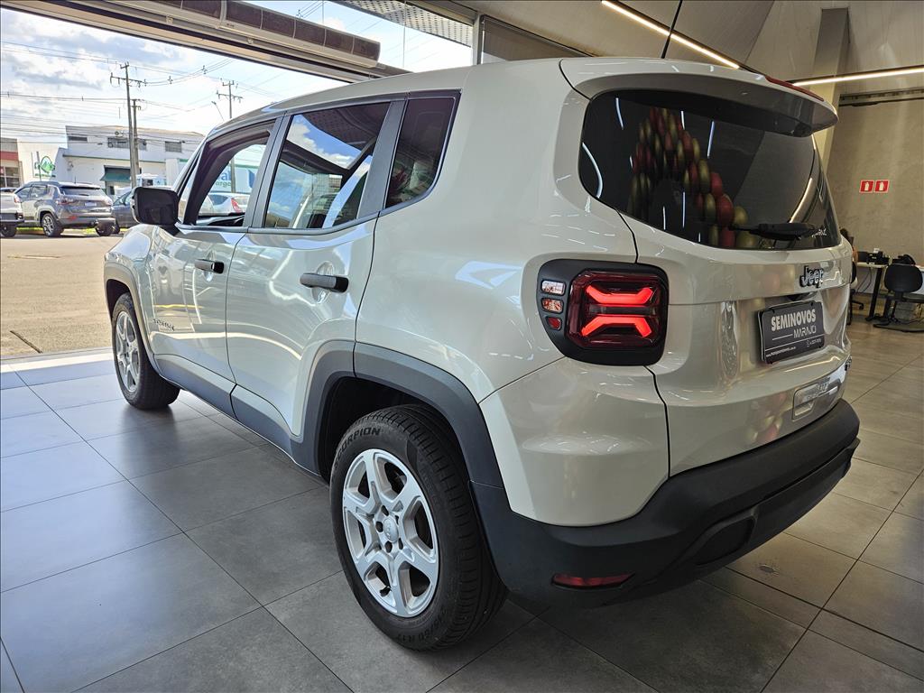 RENEGADE 1.3 T270 TURBO FLEX AT613