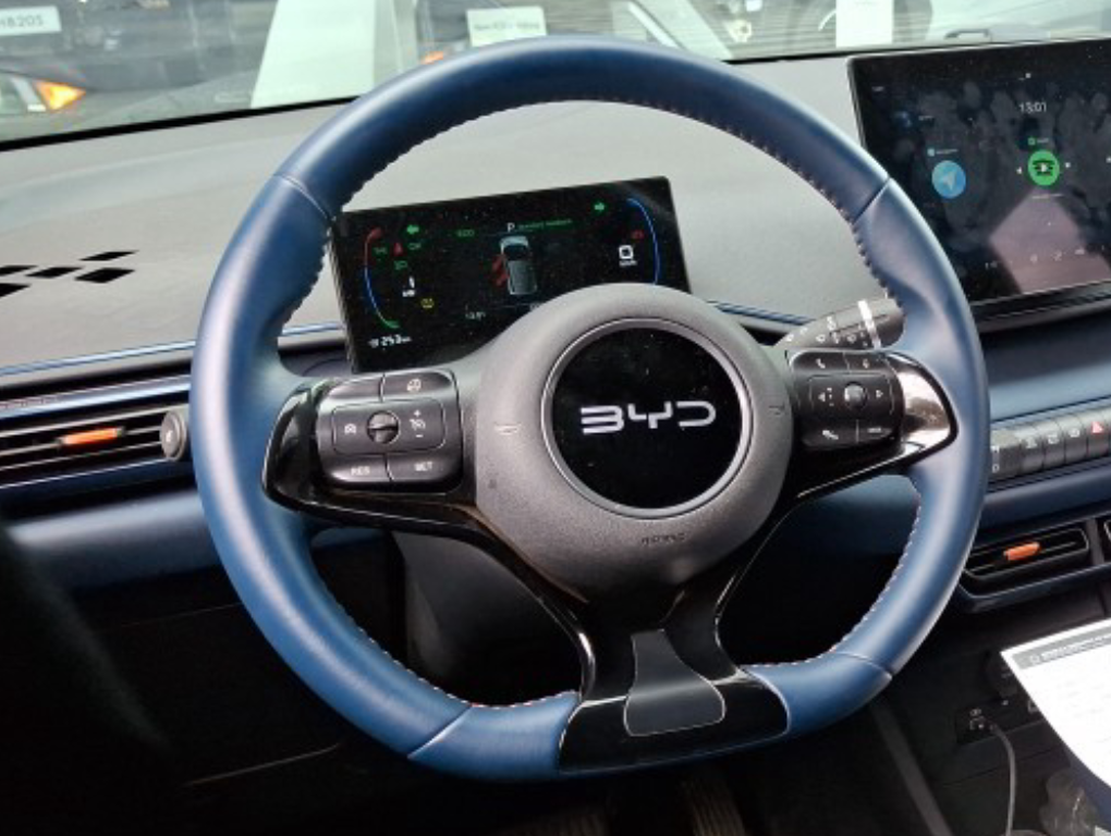 DOLPHIN MINI 38 KW ELÉTRICO2