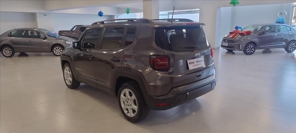 RENEGADE 1.3 T270 TURBO FLEX AT69