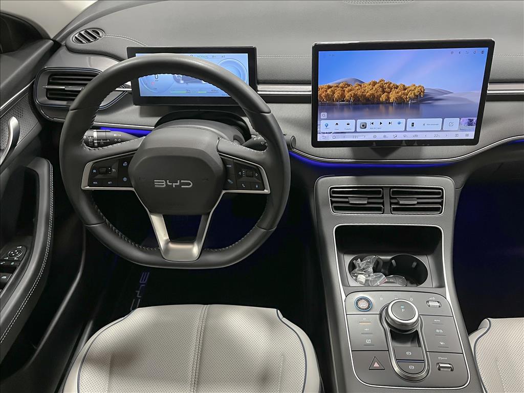 KING 1.5 DM-I PHEV GS AUTOMÁTICO8