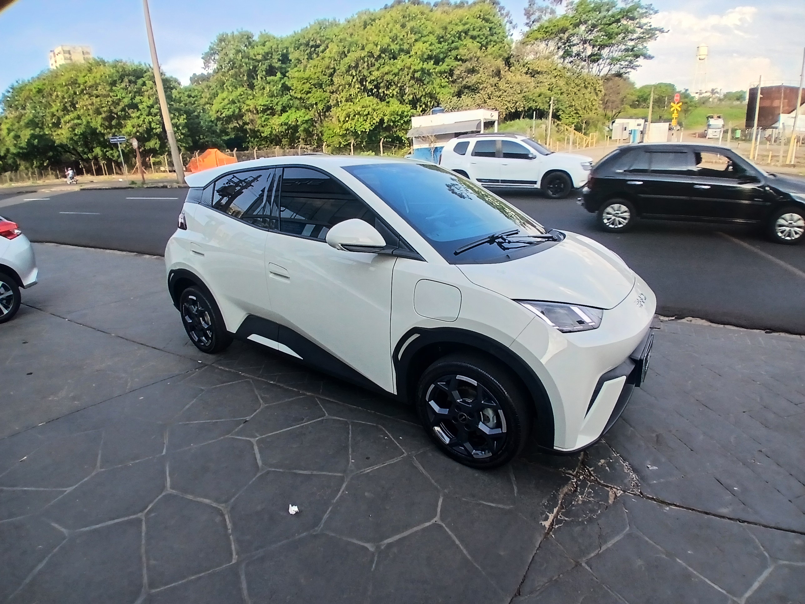 DOLPHIN MINI 38 KW ELÉTRICO GS1