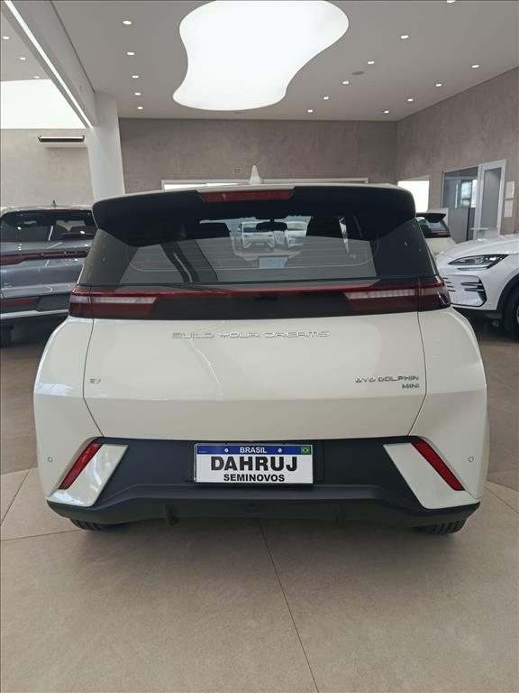 DOLPHIN MINI 38 KW ELÉTRICO10