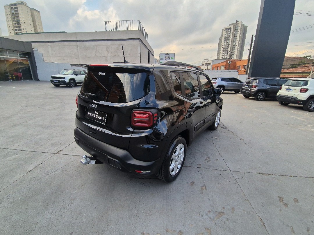 RENEGADE 1.3 T270 TURBO FLEX AT63