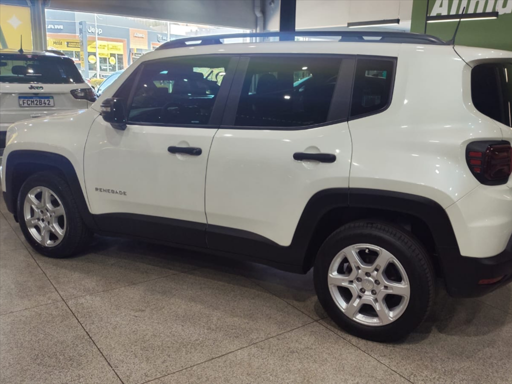 RENEGADE 1.3 T270 TURBO FLEX AT67