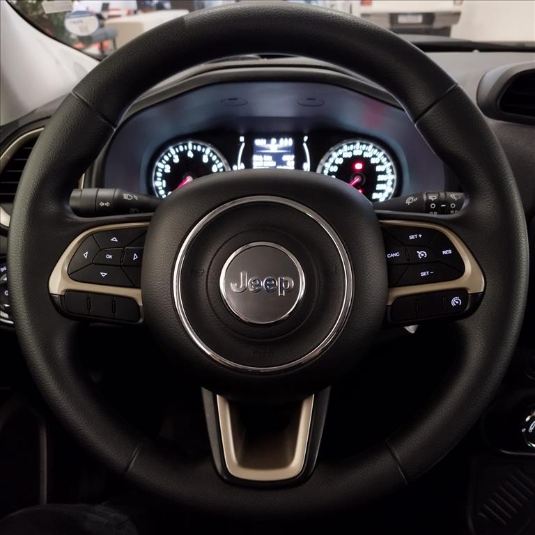 RENEGADE 1.8 16V FLEX 4P AUTOMÁTICO10