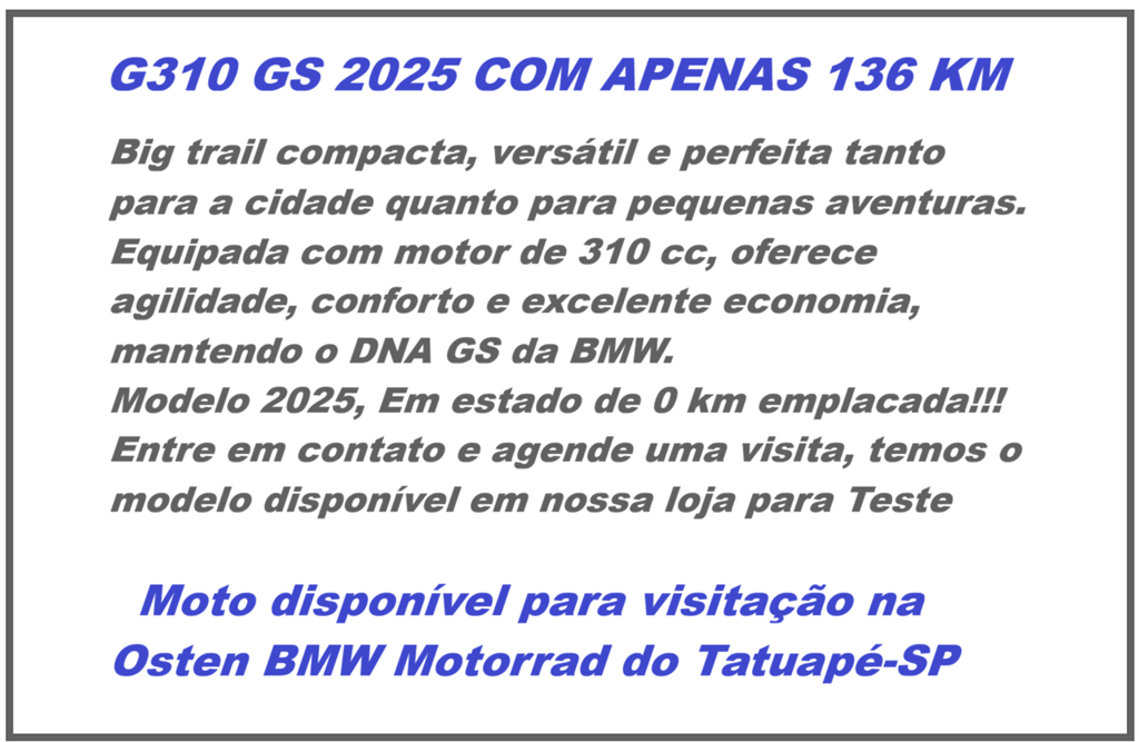 BMW Motorrad-G-310 GS