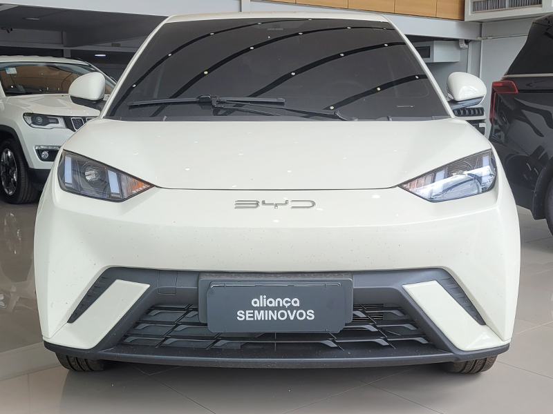 DOLPHIN MINI 38 KW ELÉTRICO1