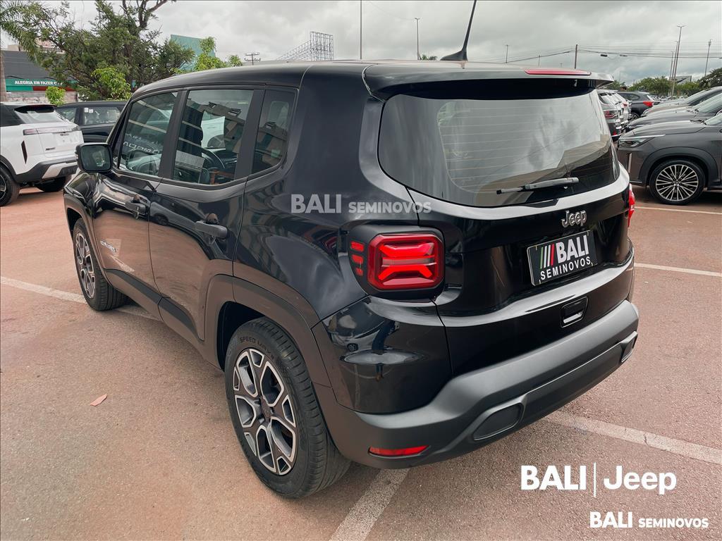 RENEGADE 1.3 T270 TURBO FLEX AT65