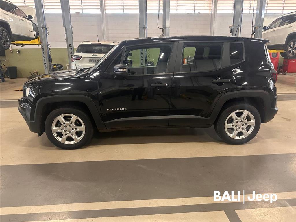 RENEGADE 1.3 T270 TURBO FLEX AT66