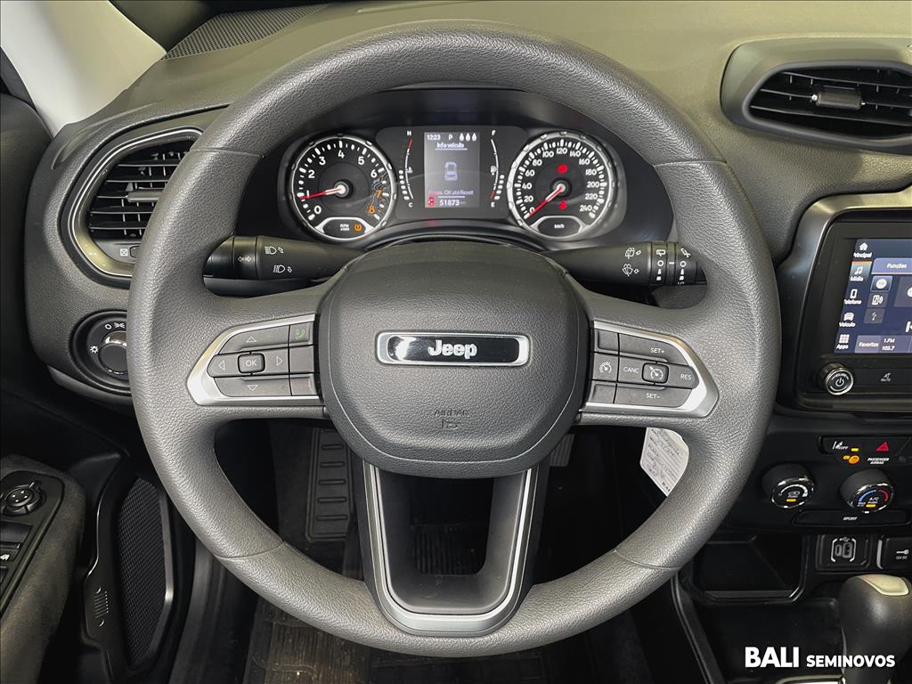 RENEGADE 1.3 T270 TURBO FLEX AT68