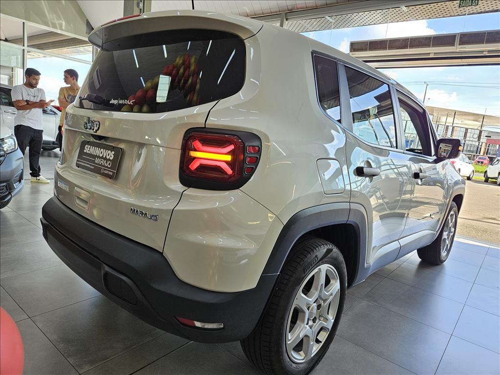 RENEGADE 1.3 T270 TURBO FLEX AT611