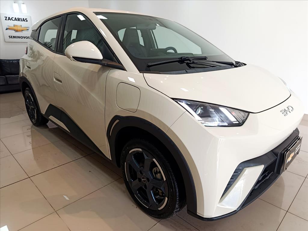 DOLPHIN MINI 38 KW ELÉTRICO2