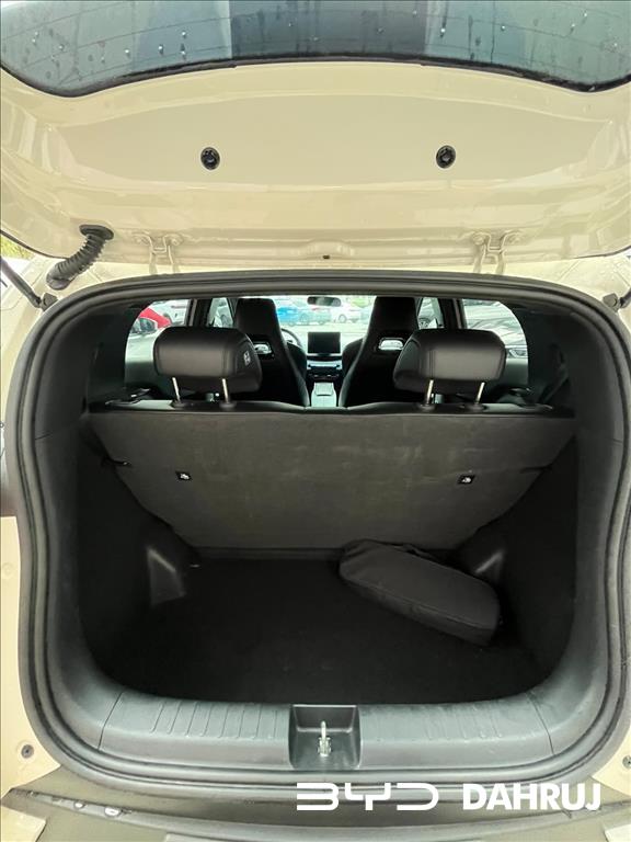 DOLPHIN MINI 38 KW ELÉTRICO9