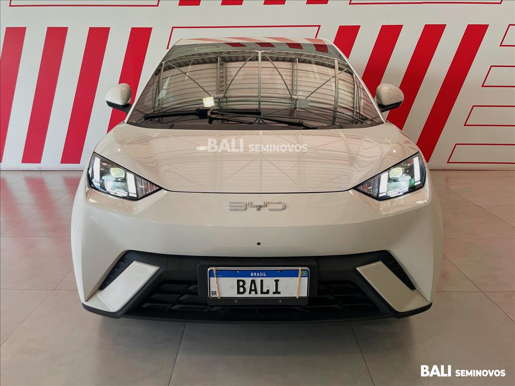 DOLPHIN MINI 38 KW ELÉTRICO2