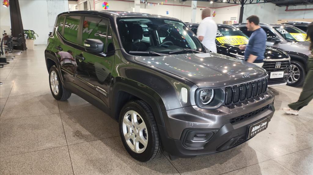 RENEGADE 1.3 T270 TURBO FLEX AT612
