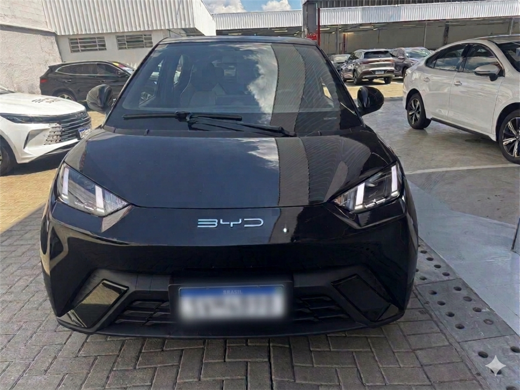 DOLPHIN MINI 38 KW ELÉTRICO1