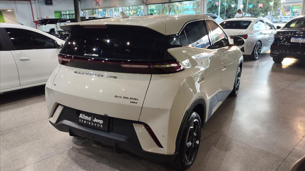 DOLPHIN MINI 38 KW ELÉTRICO6
