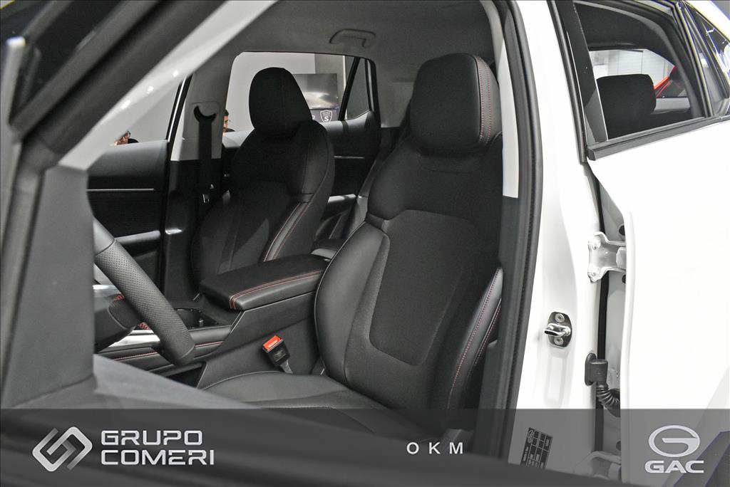 GS4 2.0 HEV PREMIUM AUTOMÁTICO6