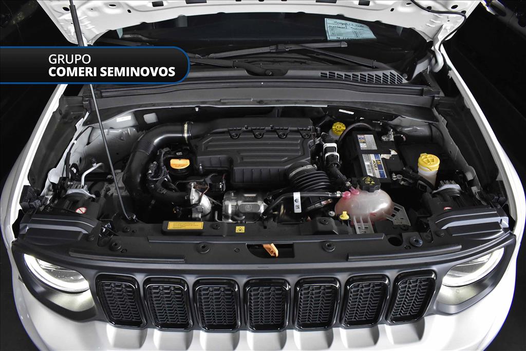 RENEGADE 1.3 T270 TURBO FLEX AT6