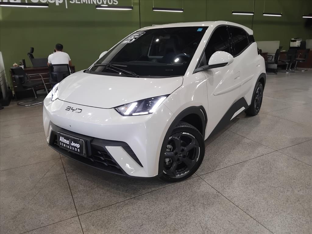 DOLPHIN MINI 38 KW ELÉTRICO 5L7