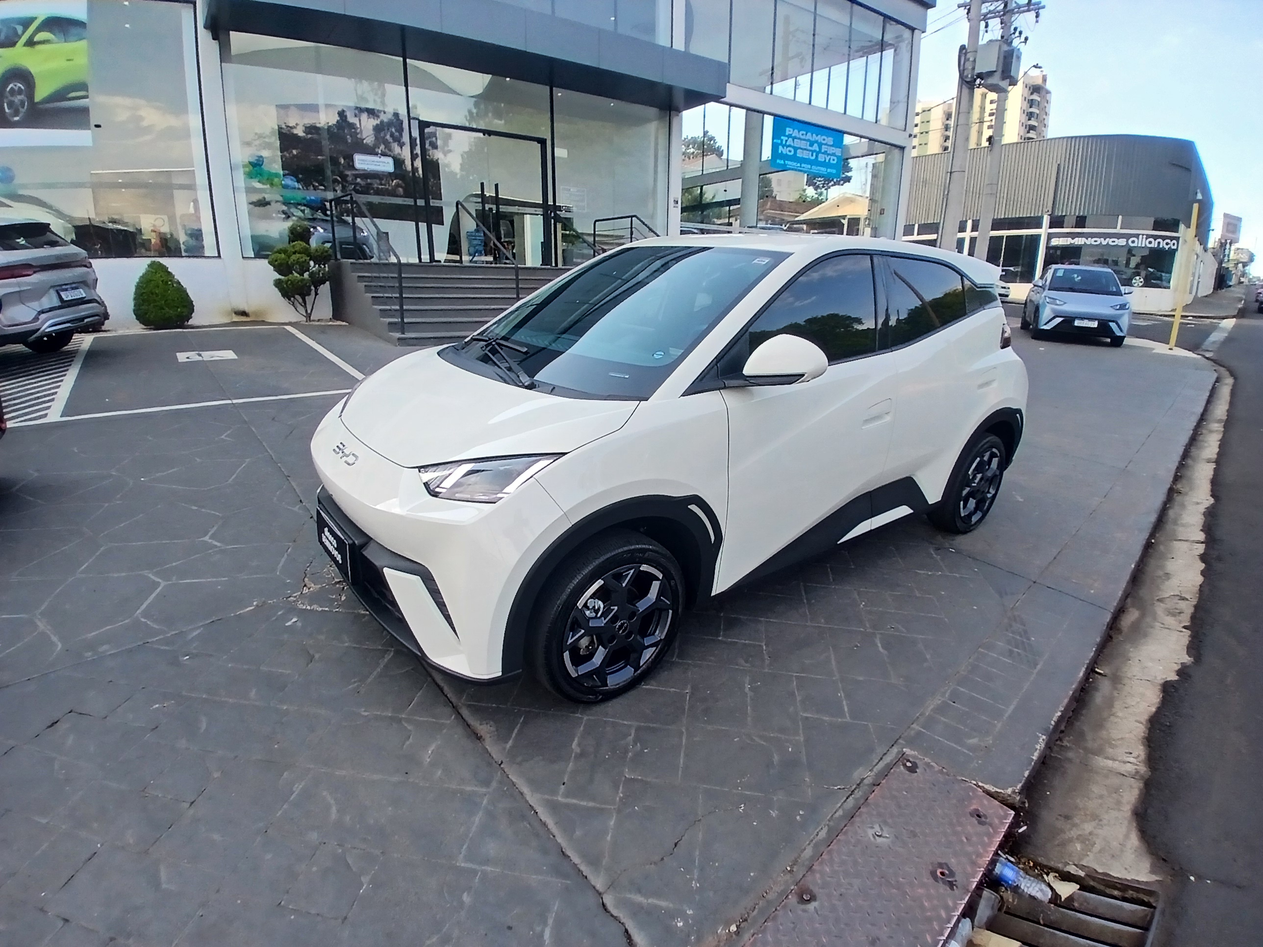 DOLPHIN MINI 38 KW ELÉTRICO GS2