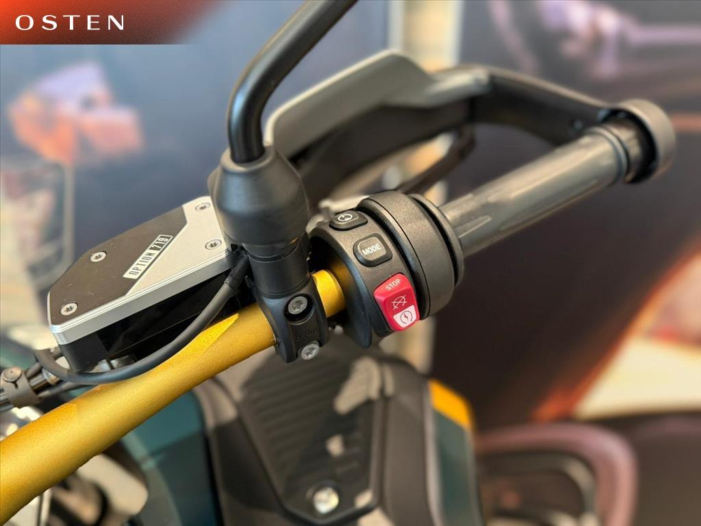 BMW Motorrad-R-1300 GS OPTION 719