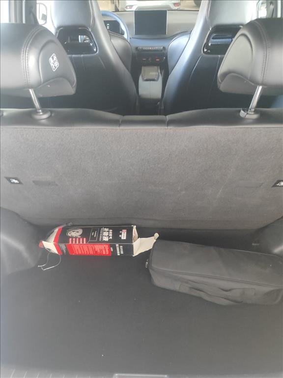 DOLPHIN MINI 38 KW ELÉTRICO6