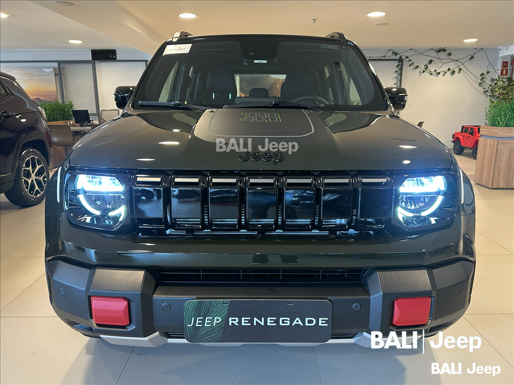 RENEGADE 1.3 T270 TURBO FLEX WILLYS 4X4 AT9