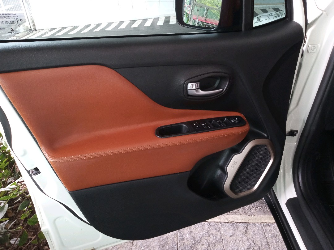 RENEGADE 1.8 16V FLEX 4P MANUAL10