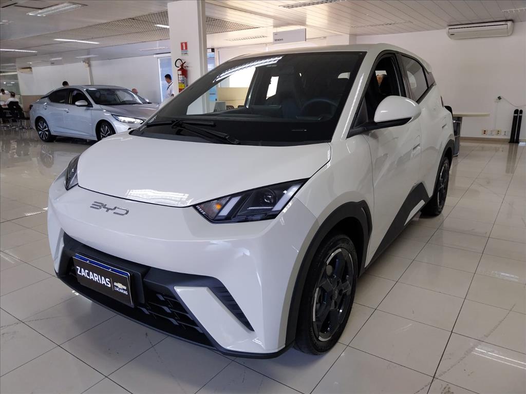 DOLPHIN MINI 38 KW ELÉTRICO2