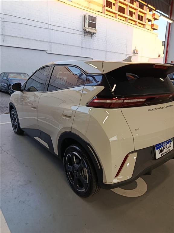 DOLPHIN MINI 38 KW ELÉTRICO9
