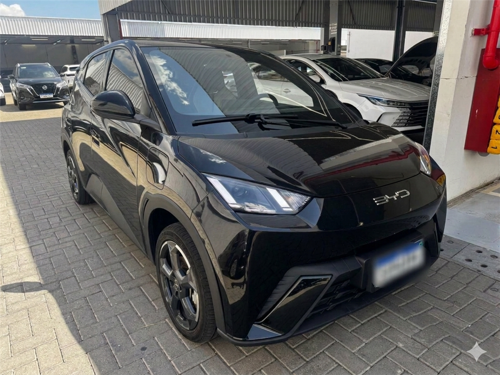 DOLPHIN MINI 38 KW ELÉTRICO2